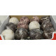 1 Display med 24 store Super flotte Julekugler i Plast i Ø 10 cm fra H&S