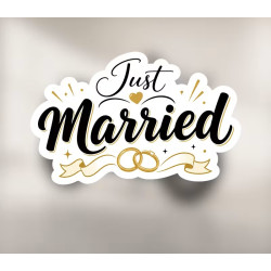 Just Married Bryllupsringe til din bryllups dag 15,1 cm