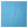 PAPER NAPKINS LIGHT BLUE 20-P
