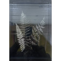 Super flot glas billede i ramme med Jule Deco